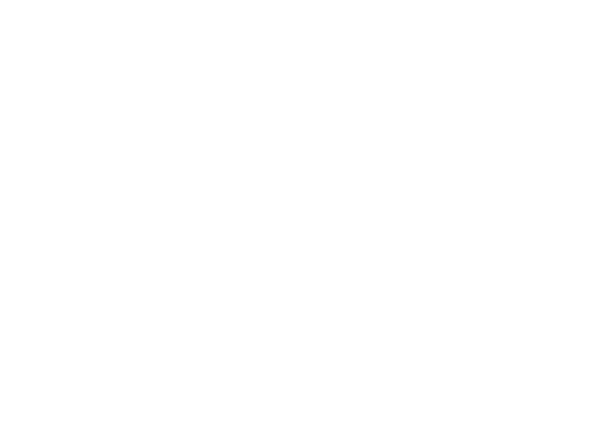 Ev-flit